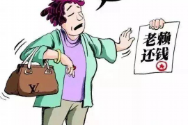 理塘企业清欠服务